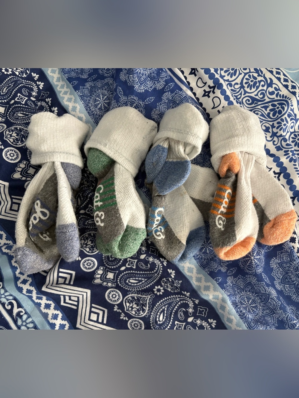 Set of 4 Cat & Jack 3T-4T Socks
